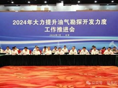 国家能源局组织召开2024年大力提升油气勘探开发力度工作推进会